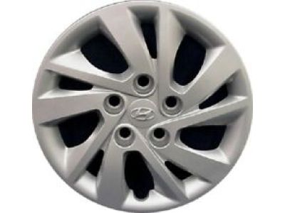 Hyundai Elantra Wheel Cover - 52960-F2000