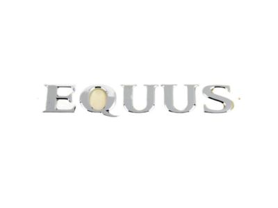 2014 Hyundai Equus Emblem - 86310-3N000