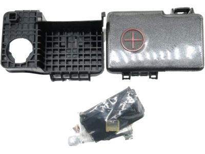 Hyundai 91971-3X091 Cap-Battery(+)