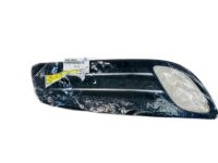 Hyundai 86562-2M000 Front Bumper Side Grille, Right