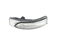 Hyundai 87613-G2000 Lamp Assembly-Outside Mirror,LH