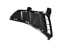 Hyundai 865C1-L0400 MOULDING-Bumper,Lower,LH