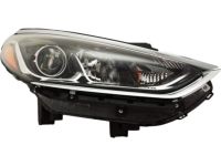 Hyundai 92102-C2500 Headlamp Assembly, Right