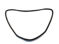 Hyundai 87321-2E000 Weatherstrip-Tail Gate Opening