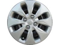 Hyundai 52960-1R100 Wheel Hub Cap Assembly