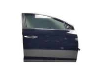 Hyundai 76004-C1000 Panel Assembly-Front Door,RH