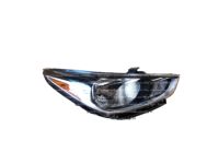 Hyundai 92102-J0020 Right Driver Side Halogen Headlamp Lens Chip