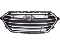 Hyundai 86350-F2000 Front Exterior Grille