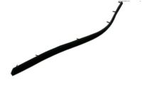 Hyundai 83231-2E000 Weatherstrip-Rear Door Belt Inside LH