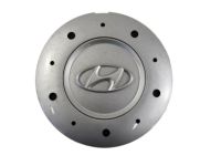 Hyundai 52960-2C600 Wheel Hub Cap Assembly