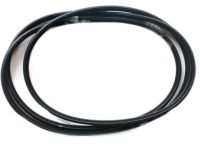 Hyundai 81613-2M001 Weatherstrip-Sunroof Glass