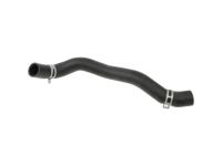 Hyundai 25415-3R200 Hose Assembly-Radaator,Lower