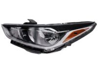 Hyundai 92101-J0020 Headlight Assembly Left