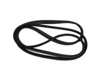 Hyundai 87321-2C000 Weatherstrip-Tail Gate Opening