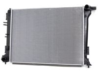 Hyundai 25310-D3500 Radiator Assembly