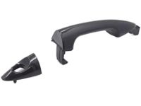 Hyundai 82651-1R000-CA Door Handle Assembly, Exterior