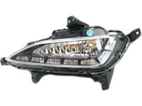 Hyundai 92202-D3100 Front Lamp Right Daytime Running Fog Light