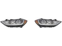 Hyundai 92101-F2040 Headlamp Assembly, Left