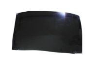 Hyundai 81611-2W000 Roof Glass Center Sliding