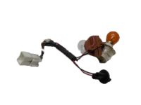 Hyundai 92451-3D050 Rear Combination Holder & Wiring