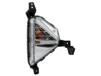 Hyundai 92302-F2510 Lamp Assembly-Front Turn Signal,RH