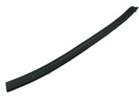 Hyundai 83170-3M000 Weatherstrip-Rear Door Lower,LH