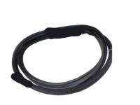 Hyundai 87321-0U200 Weatherstrip-Tail Gate Opening