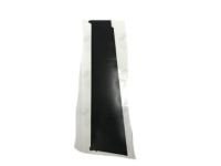 Hyundai 86391-2V000 Black Tape-Rear Door Front,RH