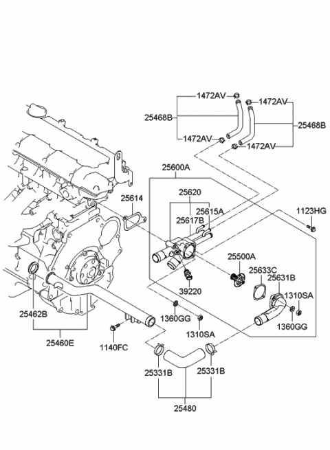 Radiator Hose & Reservoir Tank - 2006 Hyundai Elantra New Body Style ...