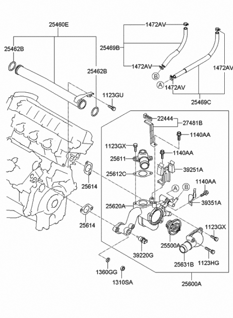 Coolant Pipe & Hose - 2006 Hyundai Tiburon New Body Style