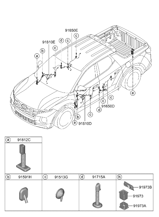 Hyundai 91630-K5010 WIRING ASSY-RR DR RH