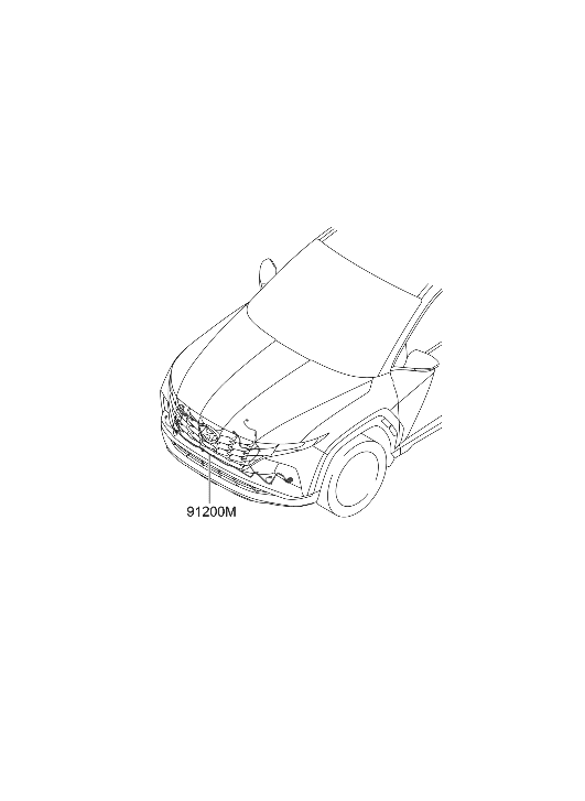 Hyundai 91840-N9080 WIRING ASSY-FEM