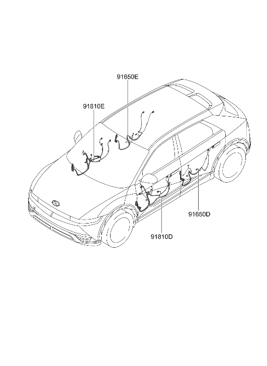 Hyundai 91610-GI351 WIRING ASSY-FR DR(PASS)