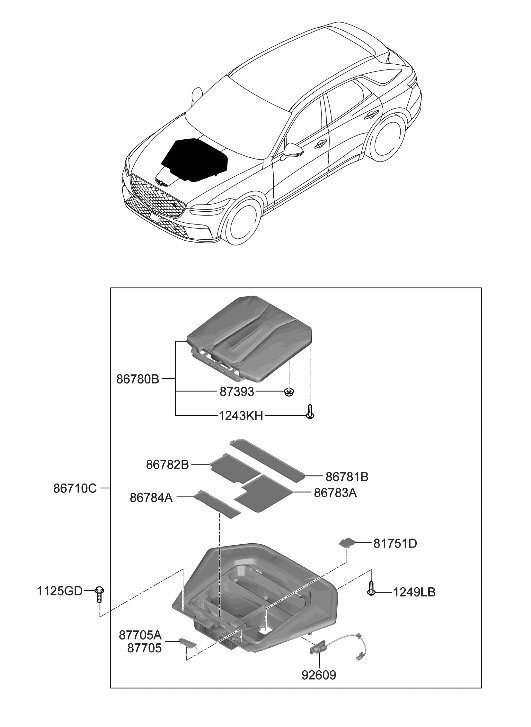 Hyundai 86710-DS000 TRUNK ASSY-FR NO.1