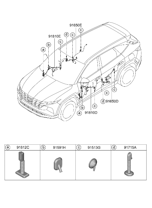 Hyundai 91630-CW010 Wiring Assembly-RR Dr RH