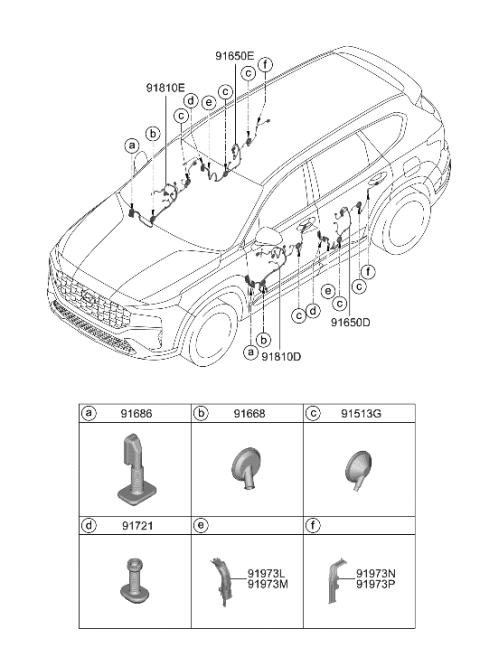 2022 Hyundai Santa Fe Wiring Assembly-RR Dr RH Diagram for 91631-S2050