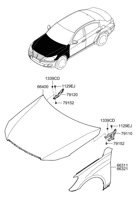 2008 Hyundai Genesis Fender & Hood Panel Diagram