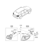 Diagram for 2007 Hyundai Santa Fe Light Socket - 92480-0W050
