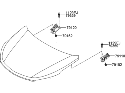 Hyundai Santa Fe Hood - 66400-2W000