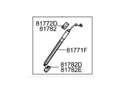 Hyundai 81770-B8100 Gate Assembly-Power Tail,LH