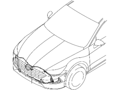 Hyundai 91840-L5030 WIRING ASSY-FEM