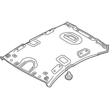 Hyundai 85310-B1020-VYC Headlining Assembly