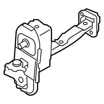 Hyundai Kona N Door Check - 79480-J9000